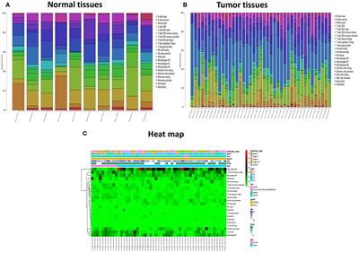 Patterns of Immune Infiltration in HNC and Their Clinical Implications: A Gene Expression-Based Study